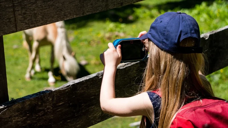 Fotograficzne projekty edukacyjne dla dzieci i młodzieży