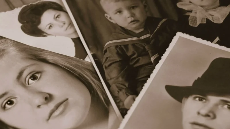 Techniki prezentacji zdjęć albumy kolaże drzewa genealogiczne